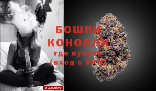 ешки Сосновый Бор